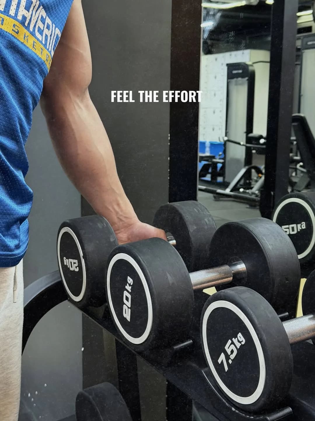 Equipment detail at Brio Fitness Sanayeh